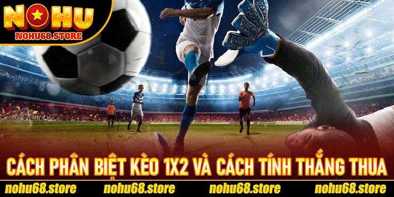Cách Phân Biệt Kèo 1X2 Và Cách Tính Thắng Thua Trên Nohu68
