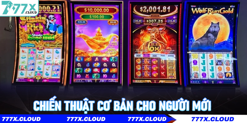 Chiến thuật cơ bản cho người mới