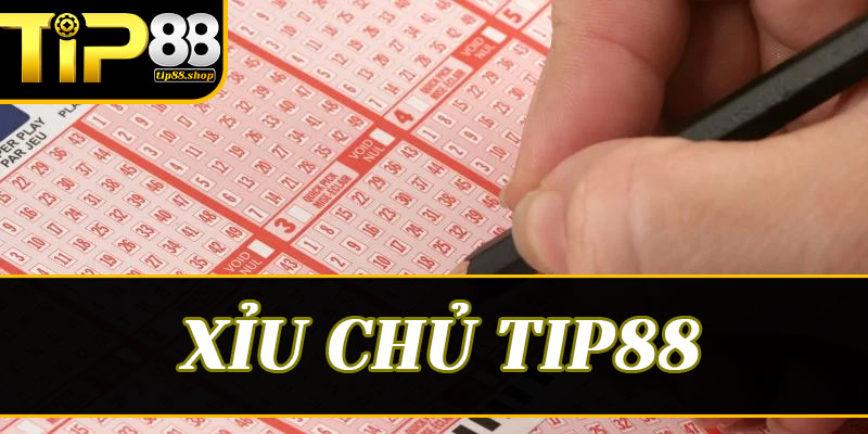 Tại sao nên gửi gắm niềm tin vào sảnh xổ số trực tuyến Tip88?