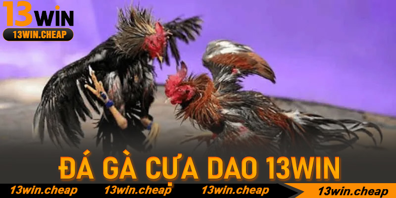 Sức hút chết người từ đấu trường Philippines và Mexico