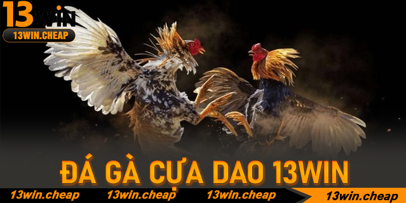 Chinh phục bảng kèo 13win bằng tư duy của một chuyên gia