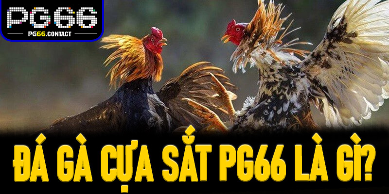 Đá Gà Cựa Sắt Pg66 là gì?