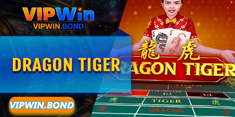 Bước vào không gian giải trí đầy mê hoặc cùng Dealer nóng bỏng