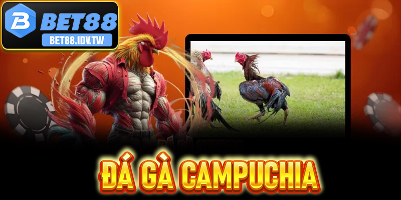 Đá Gà Campuchia