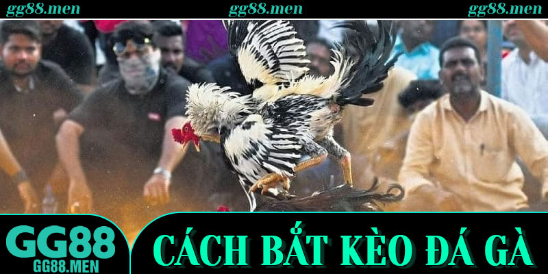 Chọn Trận Đúng Gu – Bước Đầu Của Một Cuộc Chơi